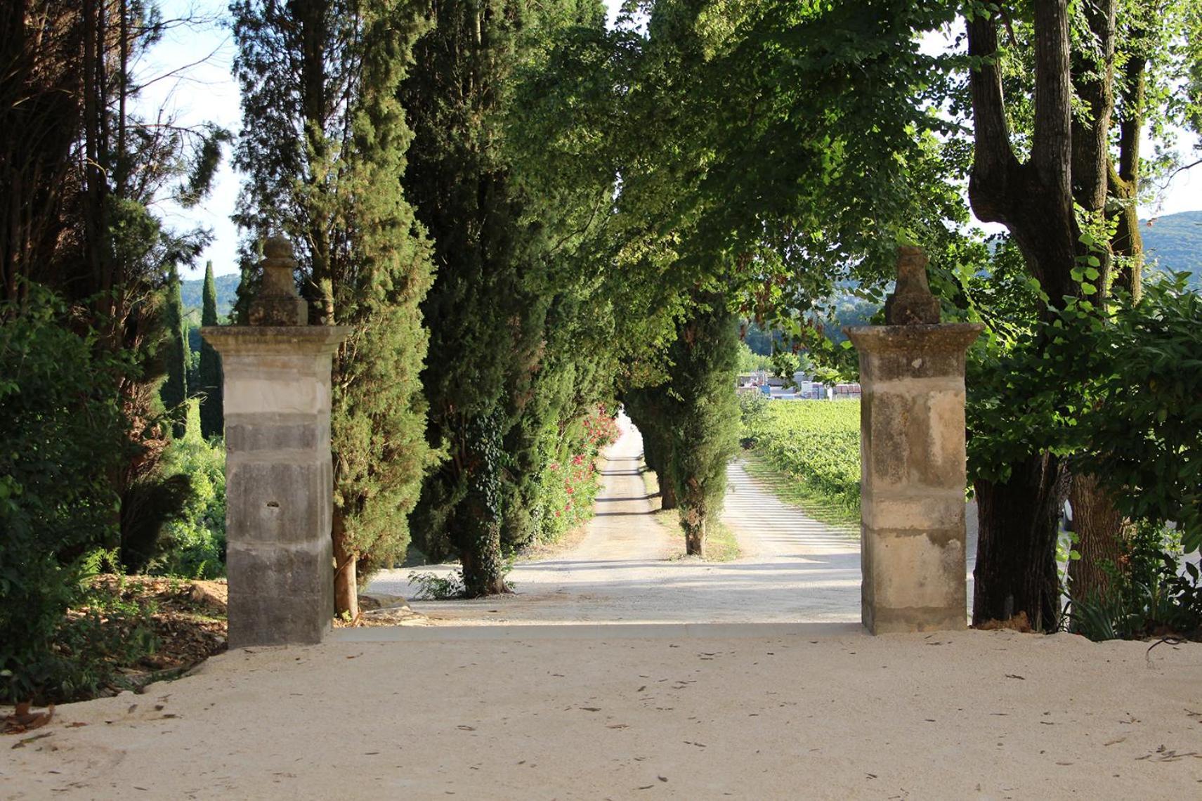 Chateau De L'Olivete Cornillon Экстерьер фото